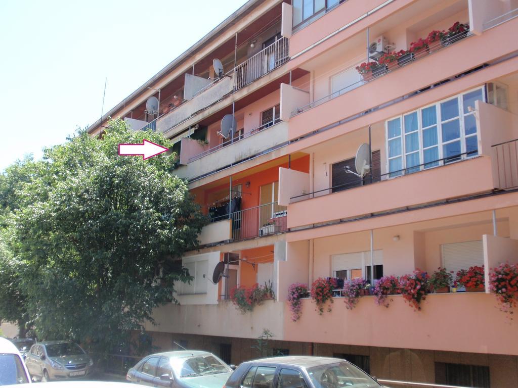 Bizjak